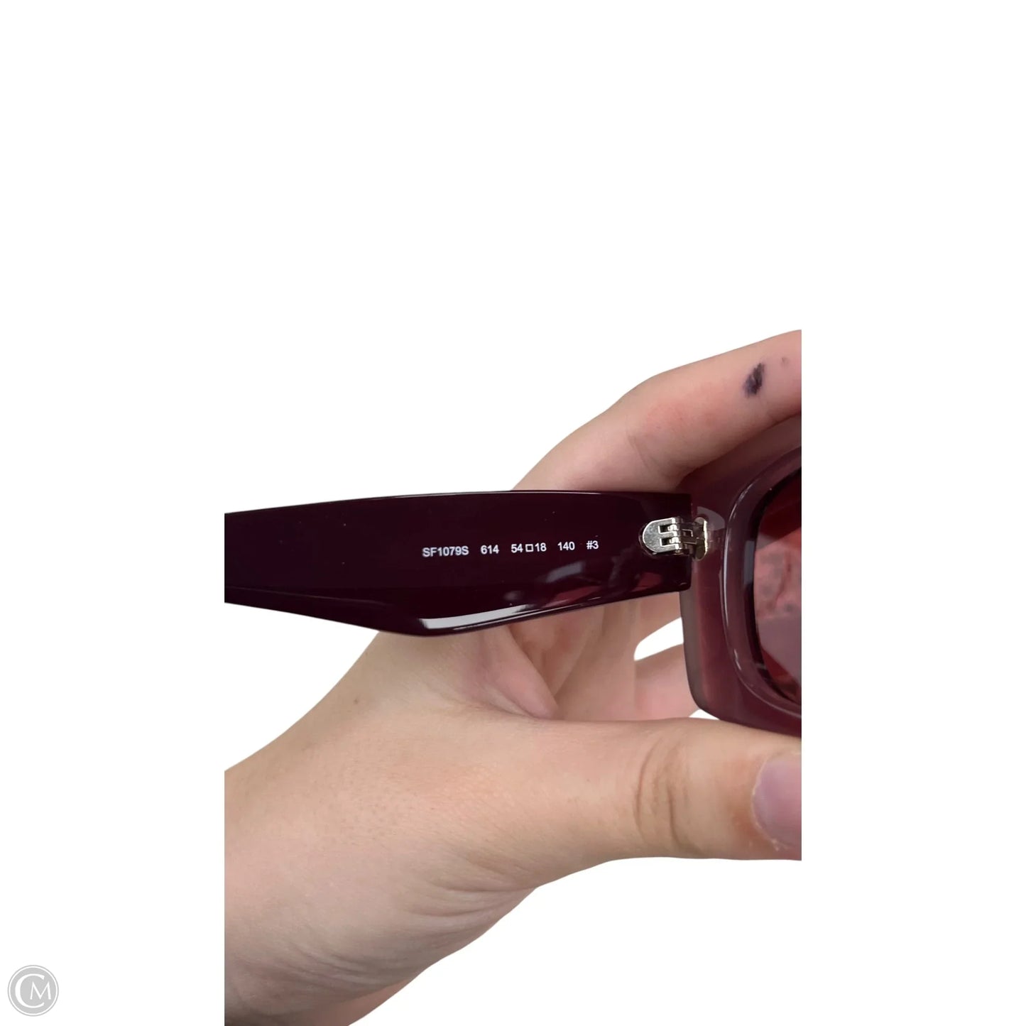 Sunglasses Luxury Designer By Ferragamo, Size: