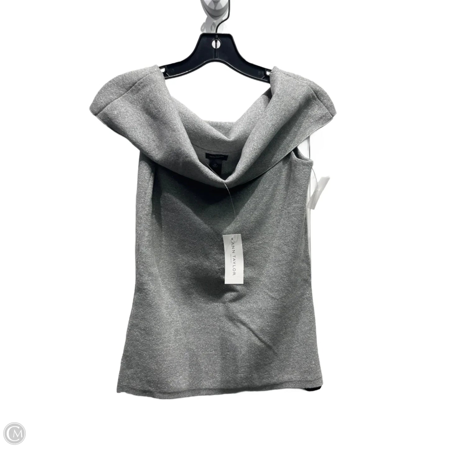 Top Short Sleeve By Ann Taylor In Silver, Size: Xs