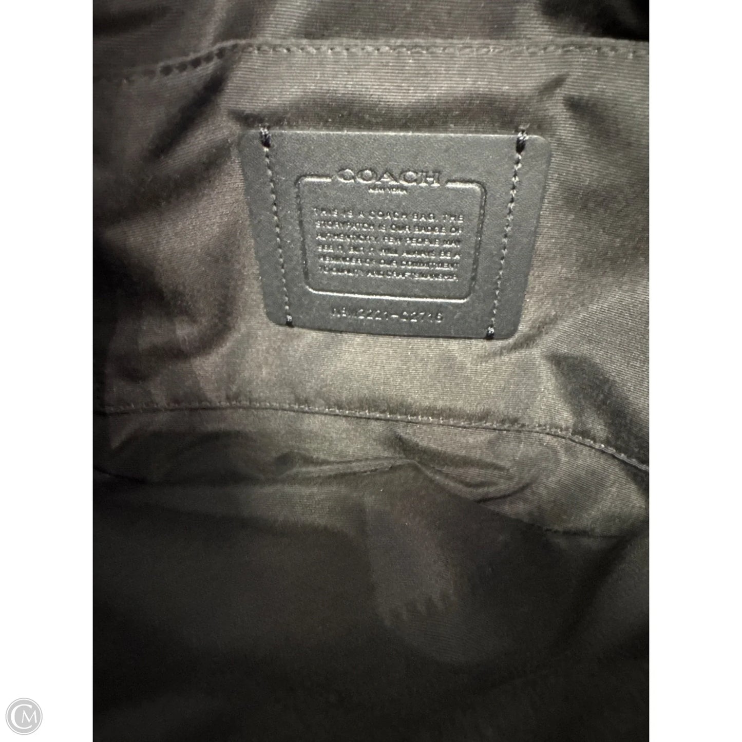 Belt Bag Designer By Coach, Size: Large