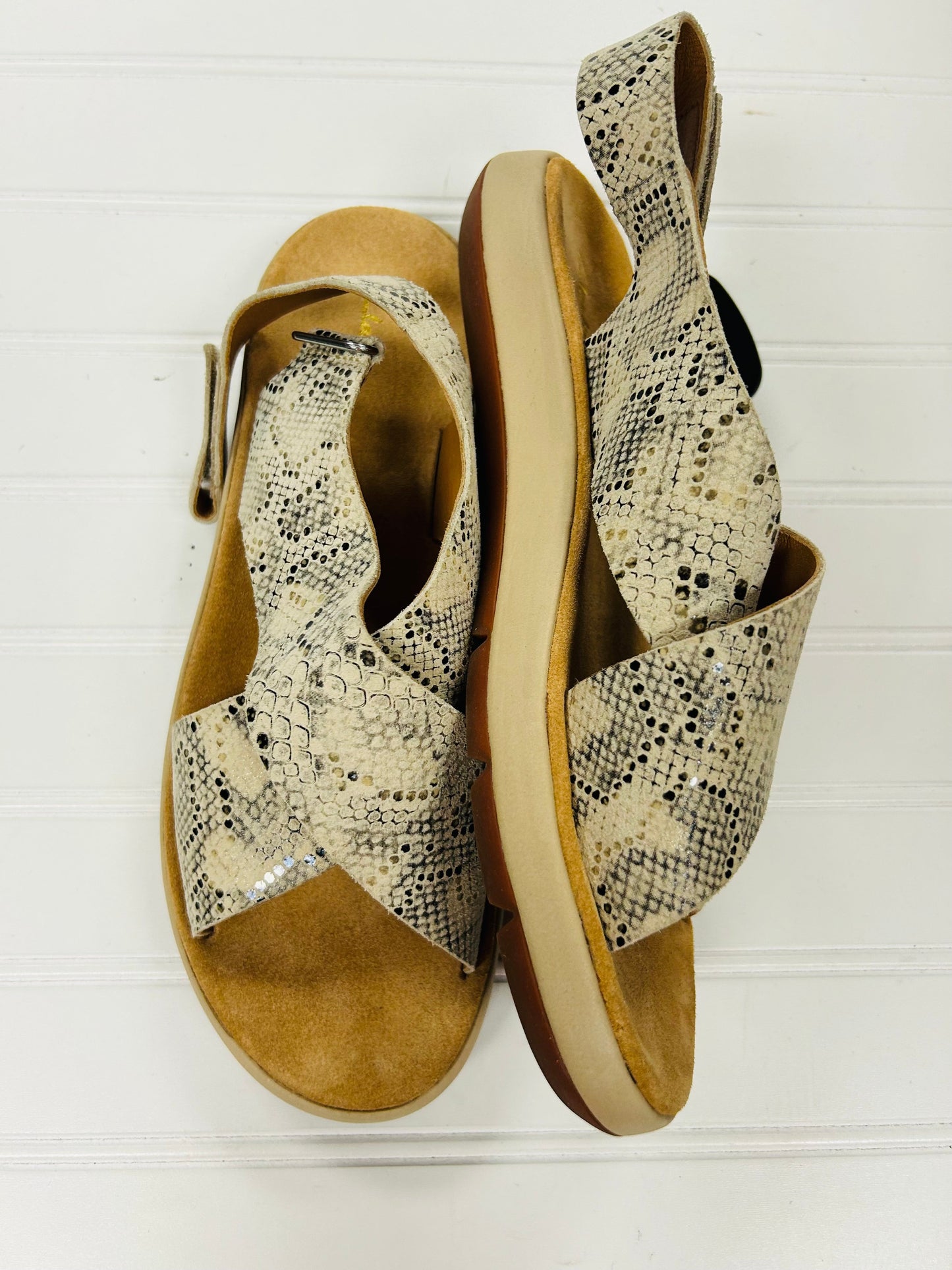 Sandals Flats By Clarks In Snakeskin Print, Size: 9