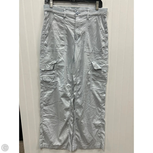 Pants Cargo & Utility By American Eagle In Blue, Size: 6