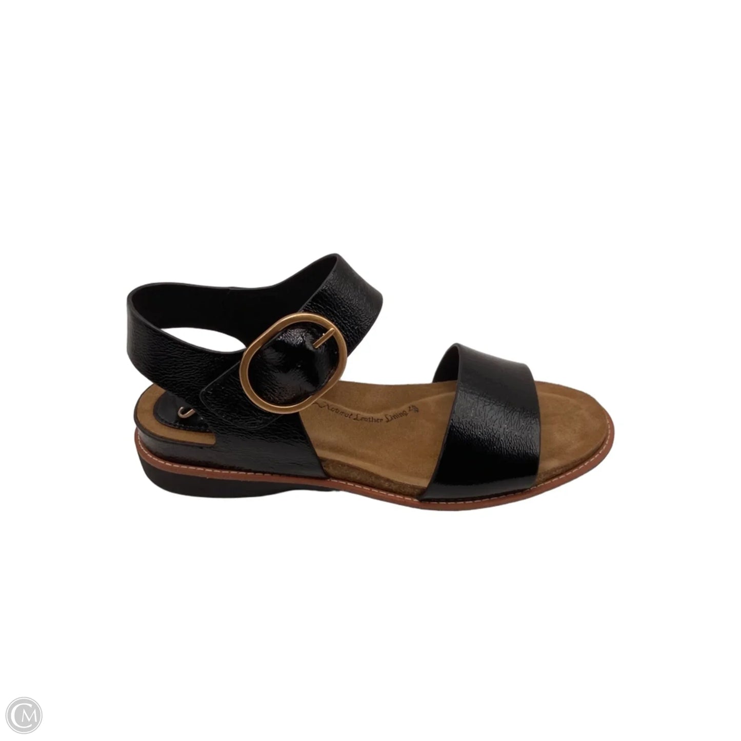 Sandals Flats By Sofft In Black, Size: 10
