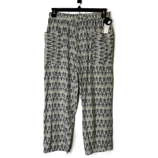 Pants Other By Urban Outfitters In Grey, Size: L