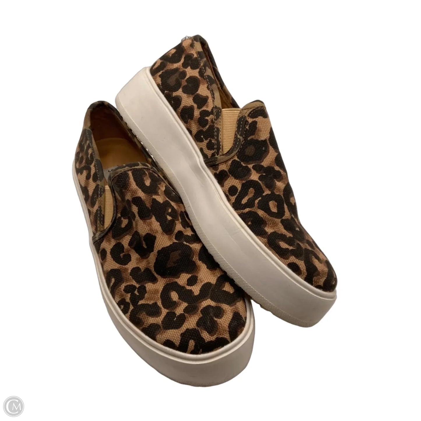 Shoes Sneakers Platform By Steve Madden In Animal Print, Size: 7