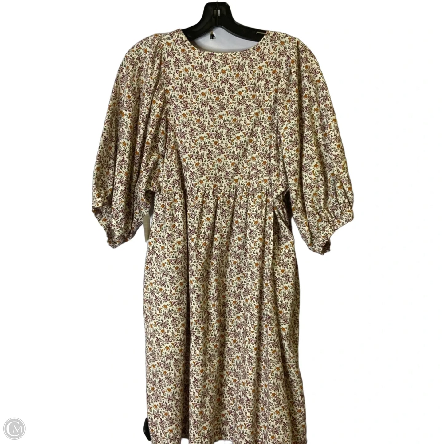 Dress Casual Short By Universal Thread In Floral Print, Size: M