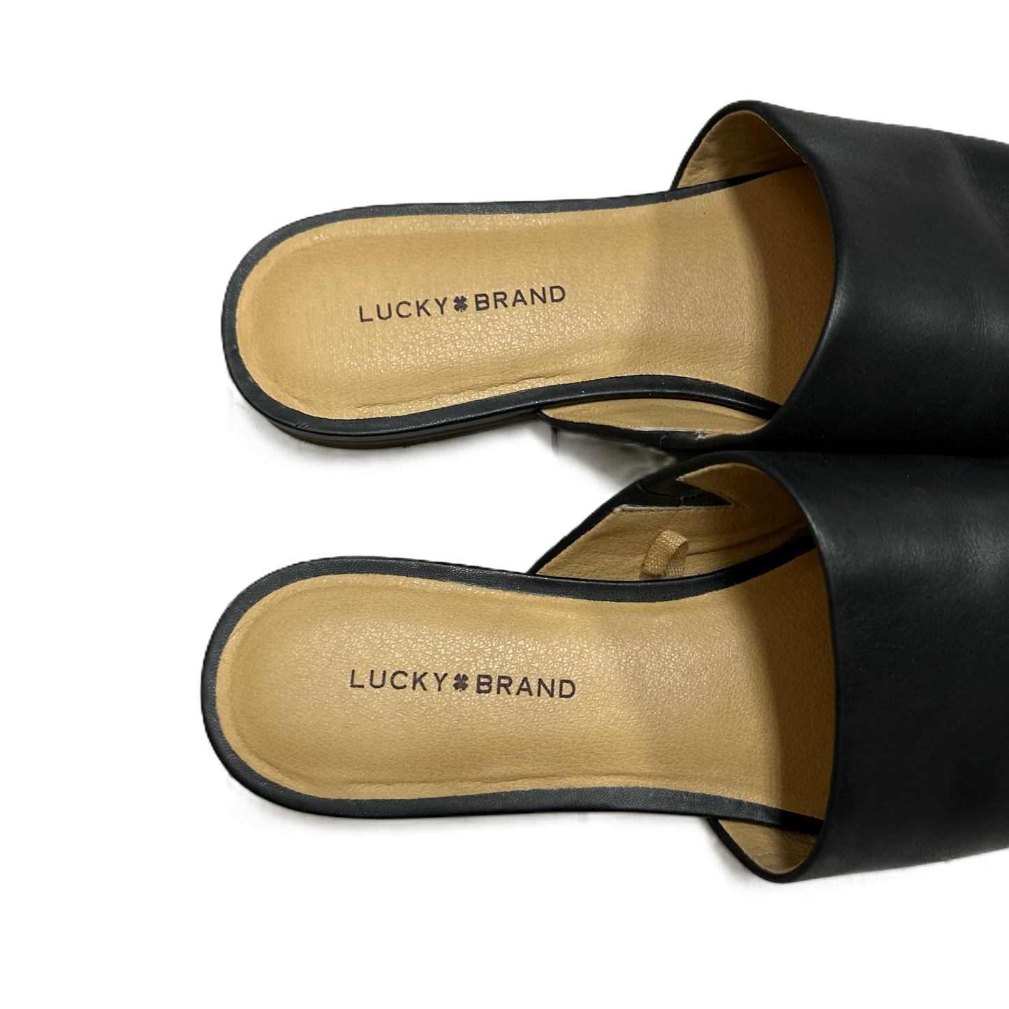 Shoes Flats By Lucky Brand  Size: 9.5