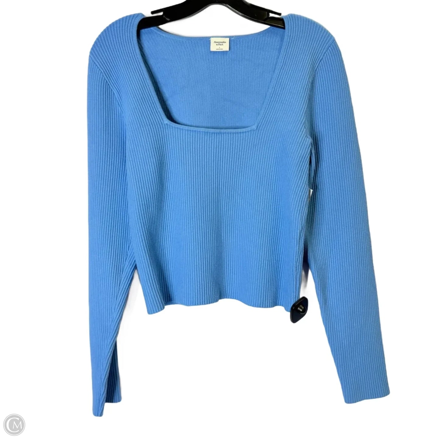 Top Long Sleeve By Abercrombie And Fitch In Blue, Size: L