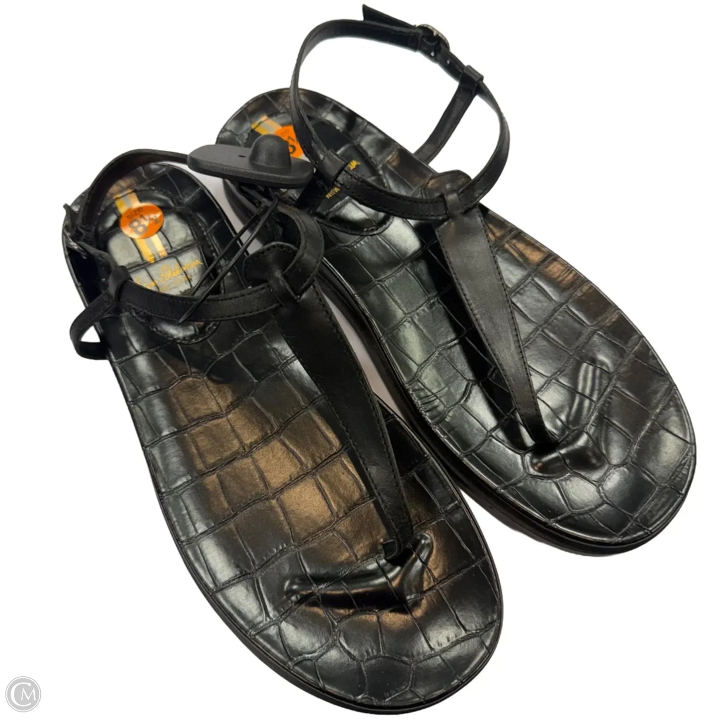 Sandals Flats By Sam Edelman In Black, Size: 8.5