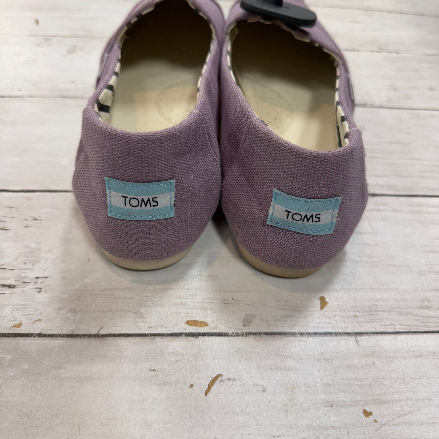 Shoes Flats By Toms In Purple, Size: 9.5