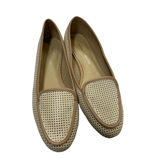 Shoes Flats By Antonio Melani In Brown, Size: 6.5