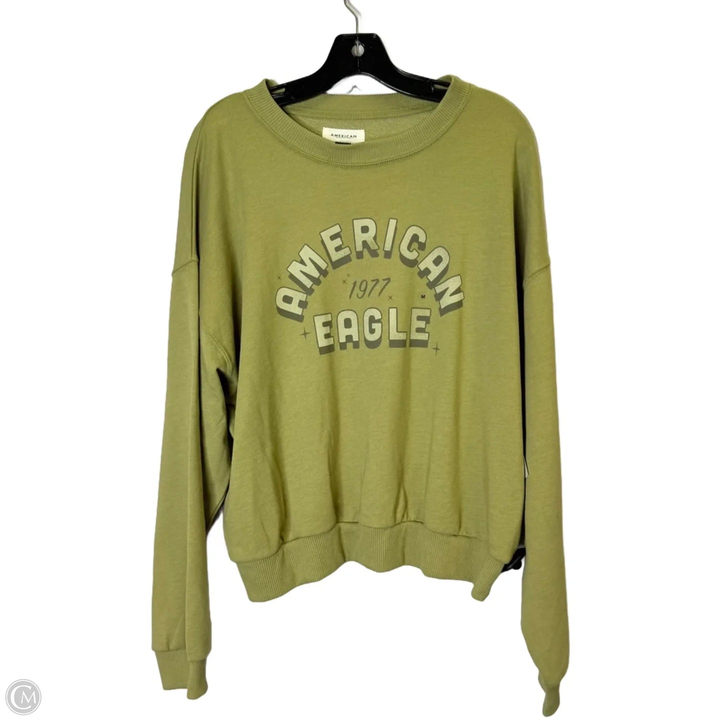 Sweatshirt Crewneck By American Eagle In Green, Size: M