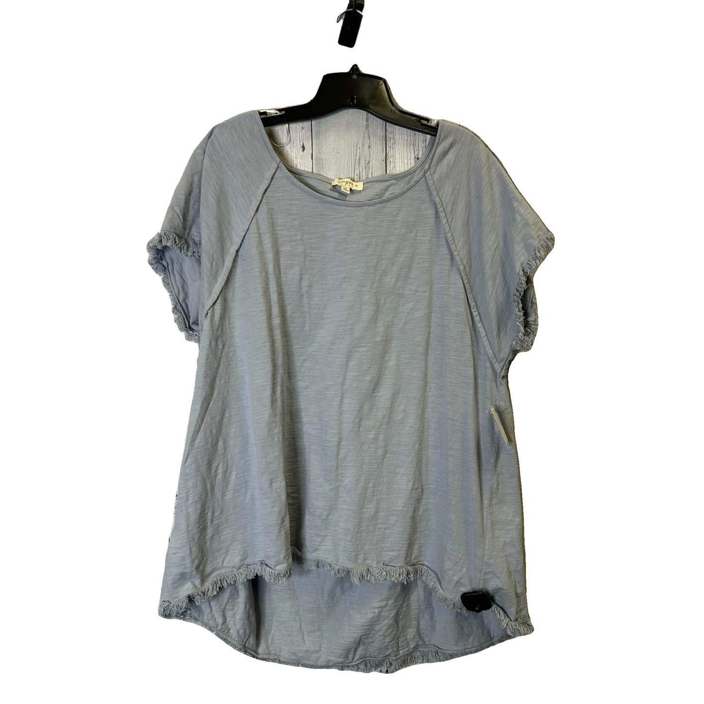 Top Short Sleeve Basic By Umgee In Blue, Size: 2x