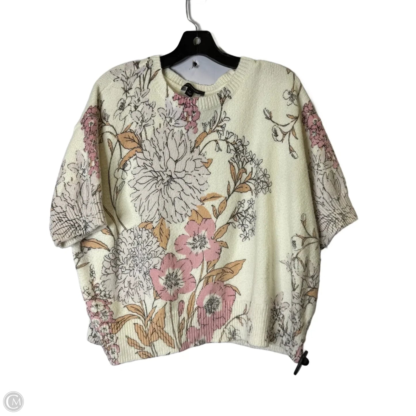 Sweater Short Sleeve By Ann Taylor In Cream, Size: Xl