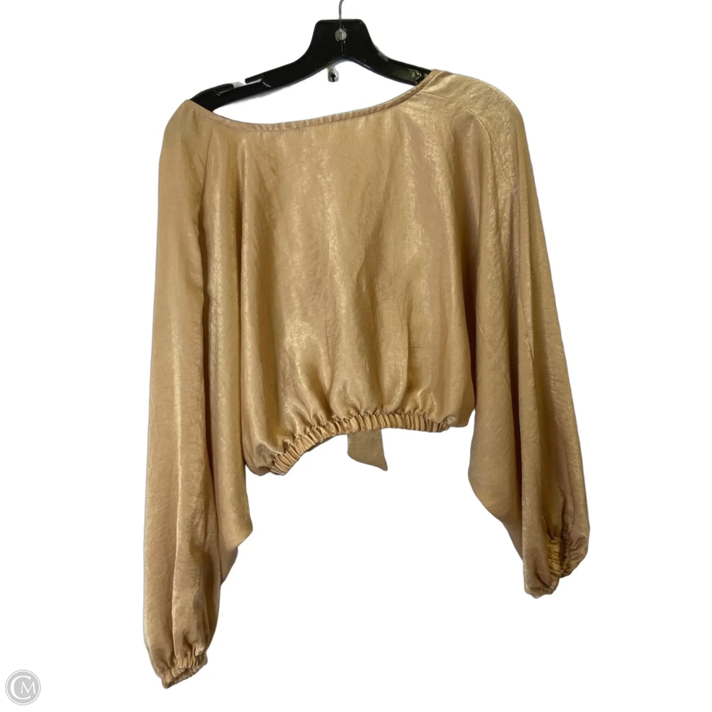Blouse Long Sleeve By Clothes Mentor In Tan, Size: M