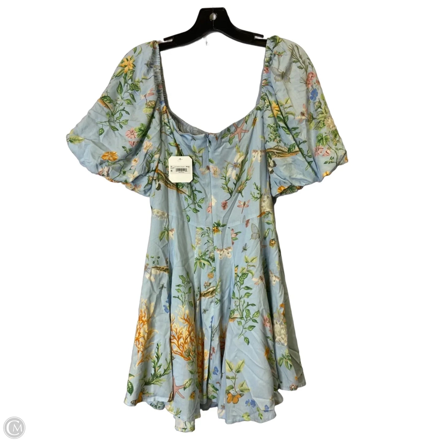 Dress Casual Short By Altard State In Blue, Size: Xl