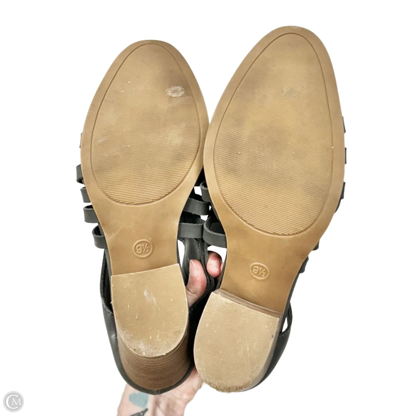 Shoes Heels Block By Universal Thread In Grey, Size: 9.5