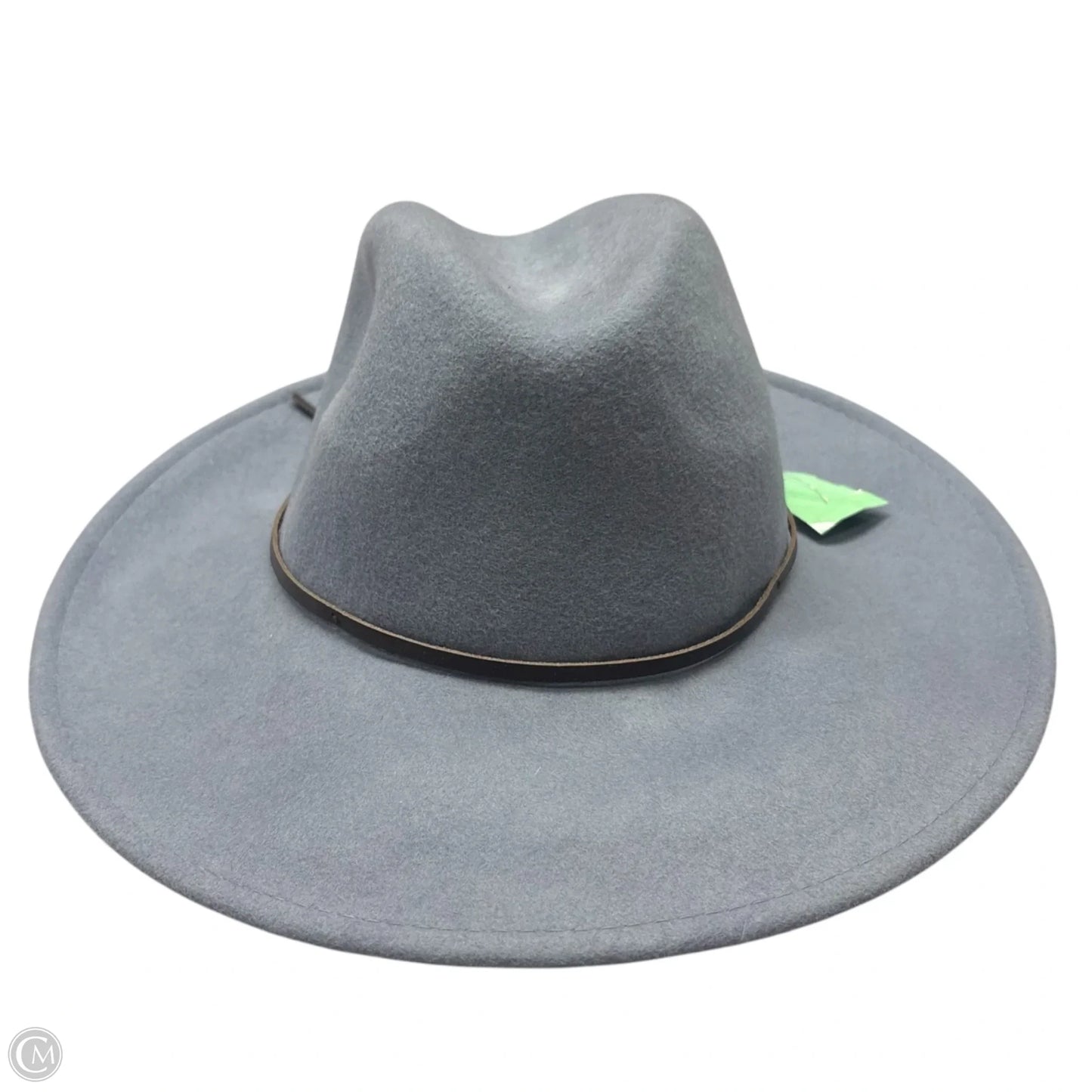 Hat Fedora By Anthropologie