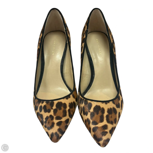 Shoes Heels Stiletto By Ann Taylor In Animal Print, Size: 5