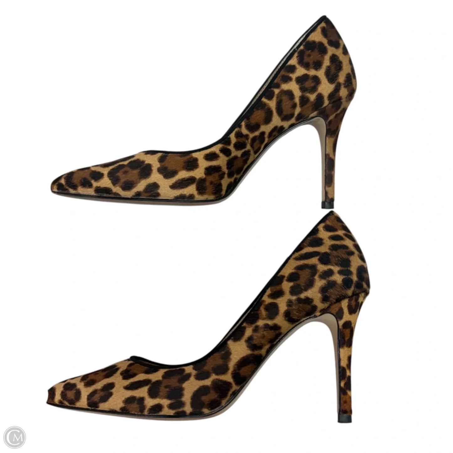 Shoes Heels Stiletto By Ann Taylor In Animal Print, Size: 5