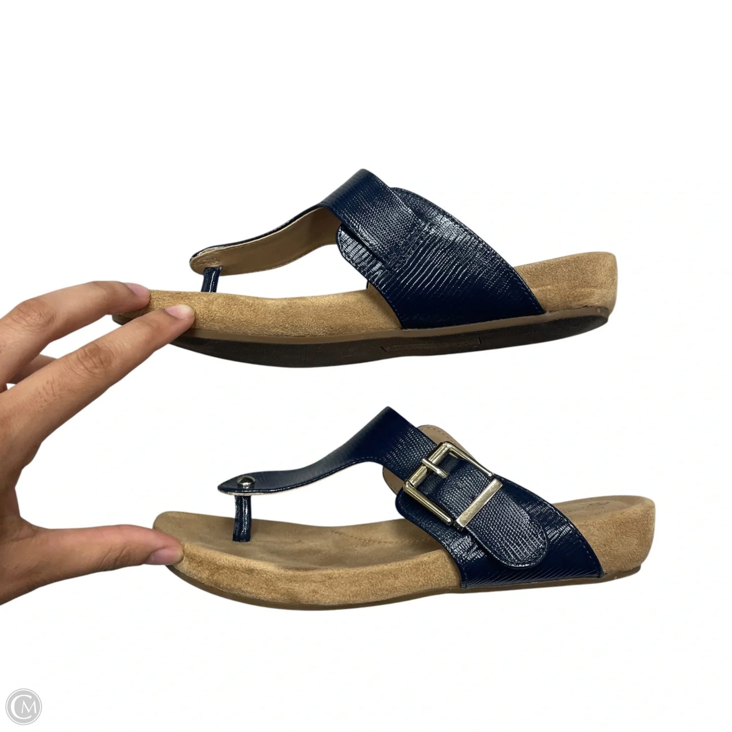 Sandals Flip Flops By Giani Bernini In Navy, Size: 5.5