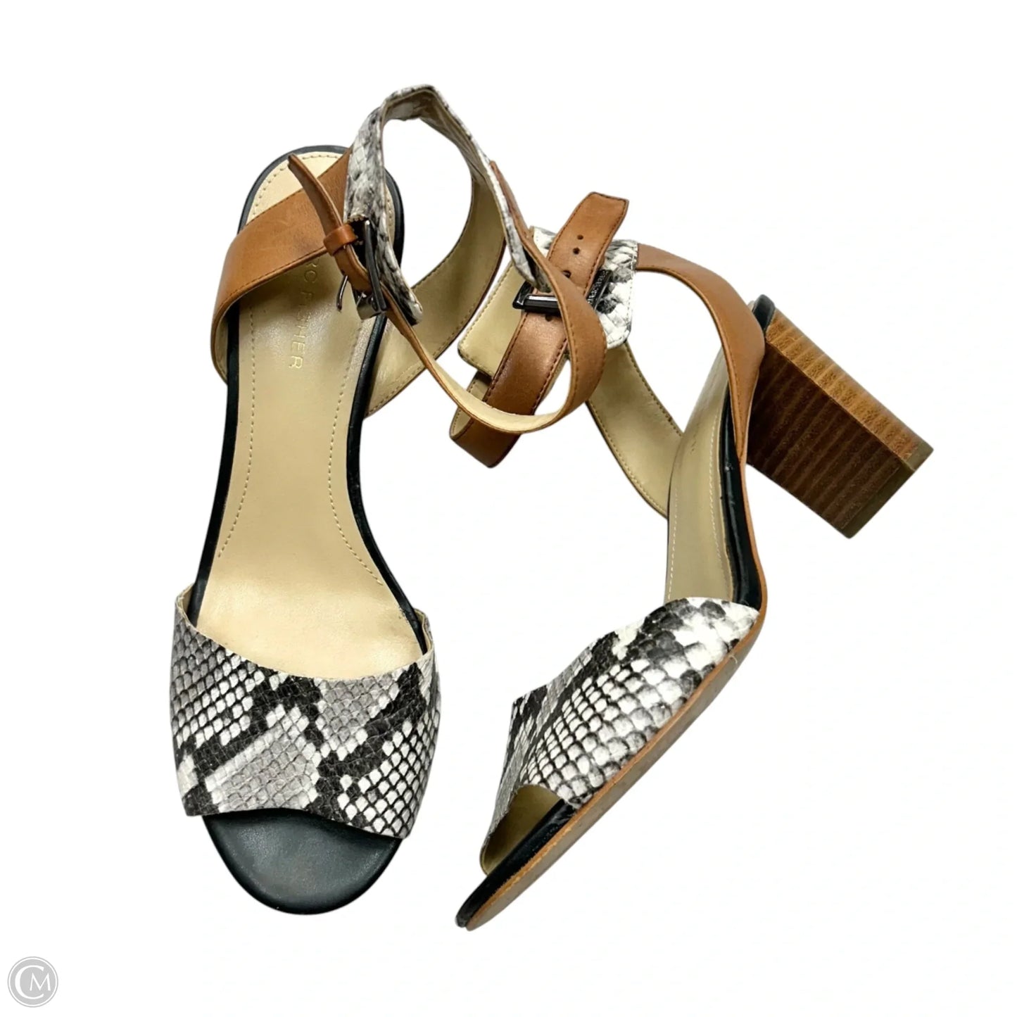Shoes Heels Block By Marc Fisher In Snakeskin Print, Size: 9