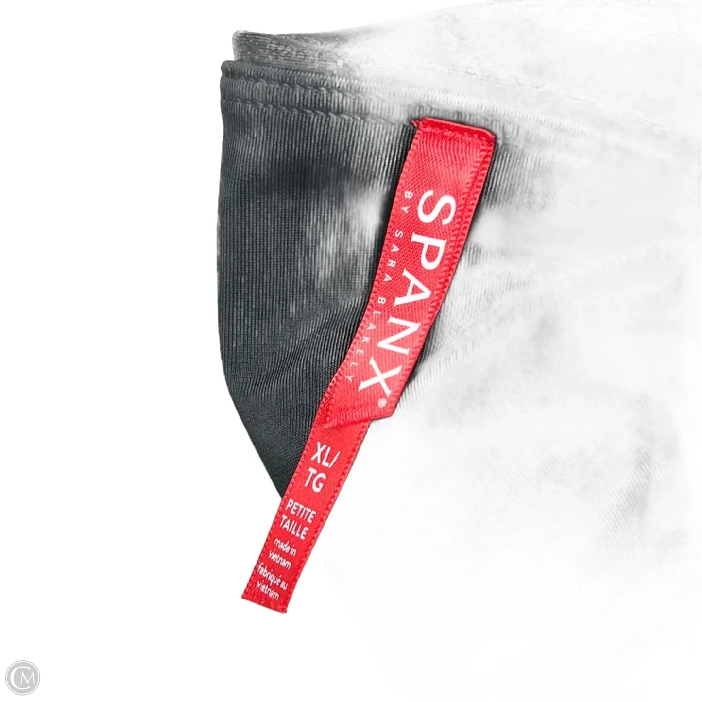 Athletic Leggings By Spanx In Black, Size: Xl