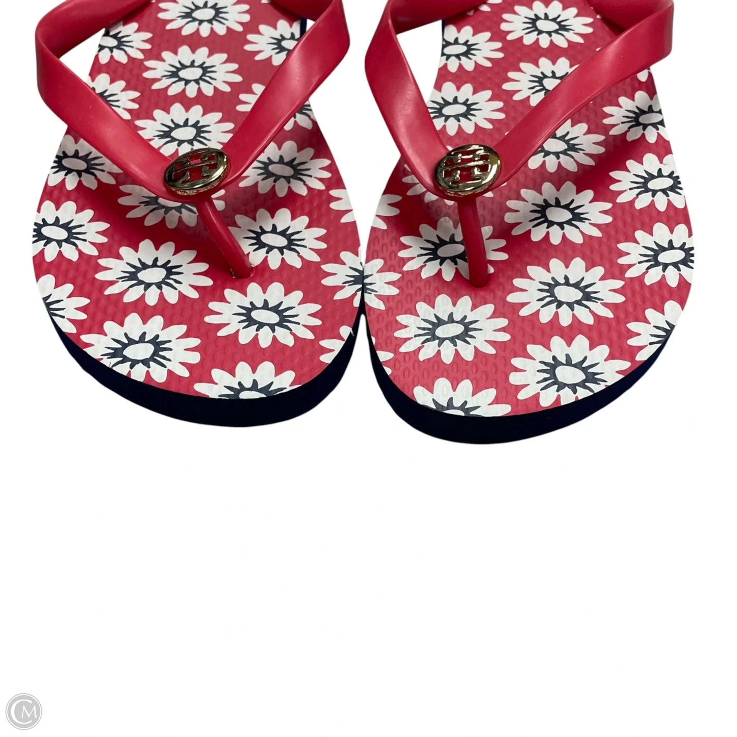 Sandals Designer By Tory Burch In Blue & Red & White, Size: 9