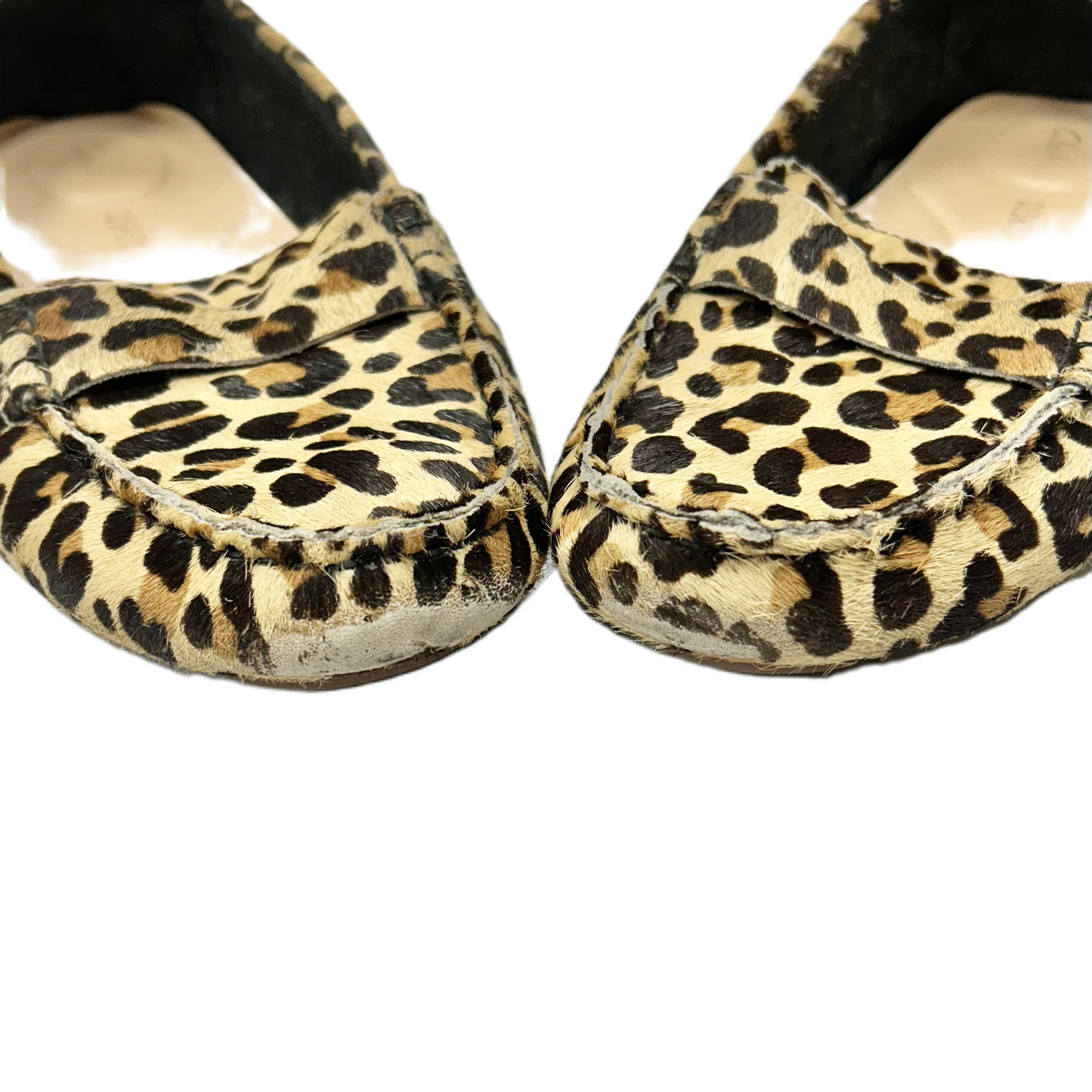 Shoes Flats By Clarks In Animal Print, Size: 9.5