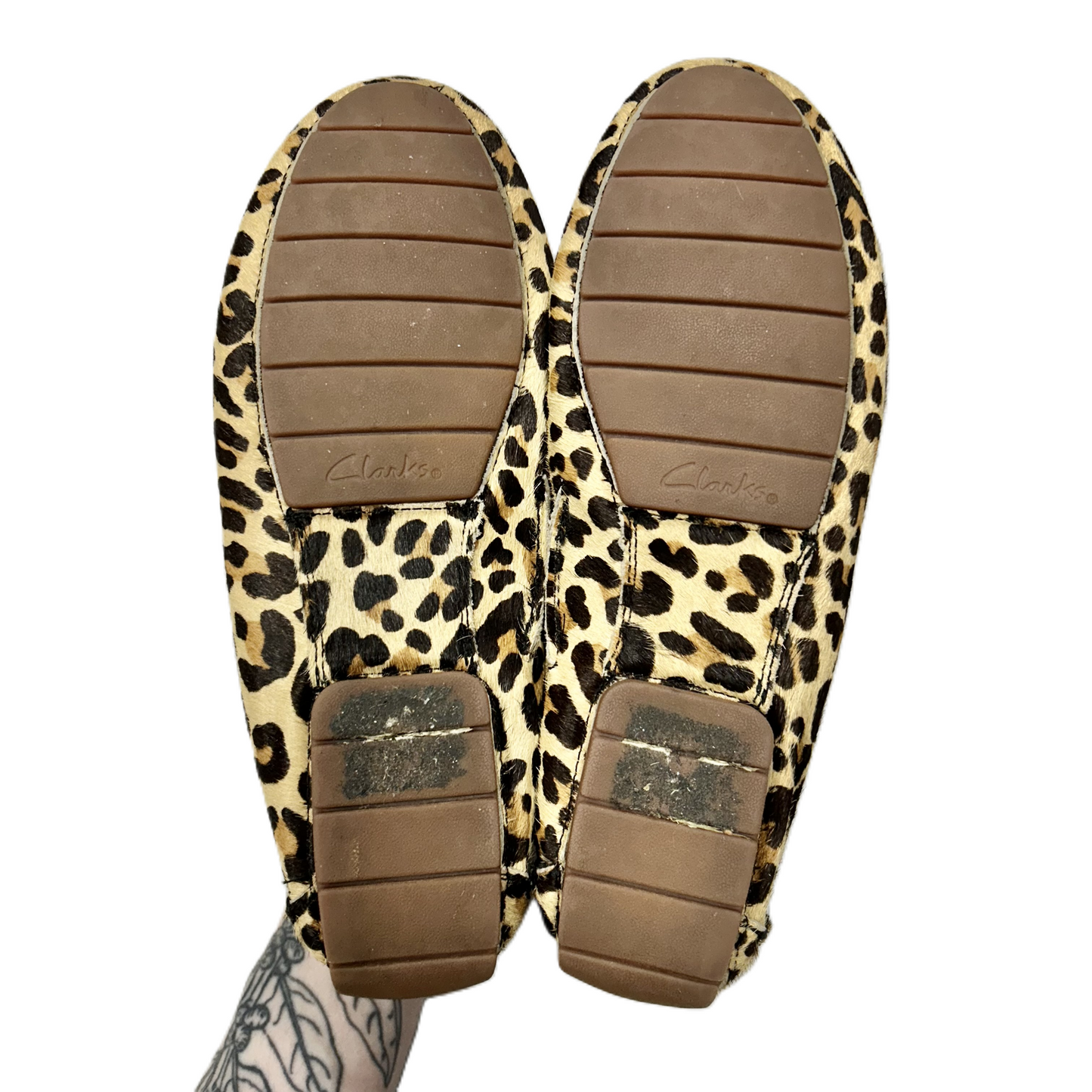 Shoes Flats By Clarks In Animal Print, Size: 9.5