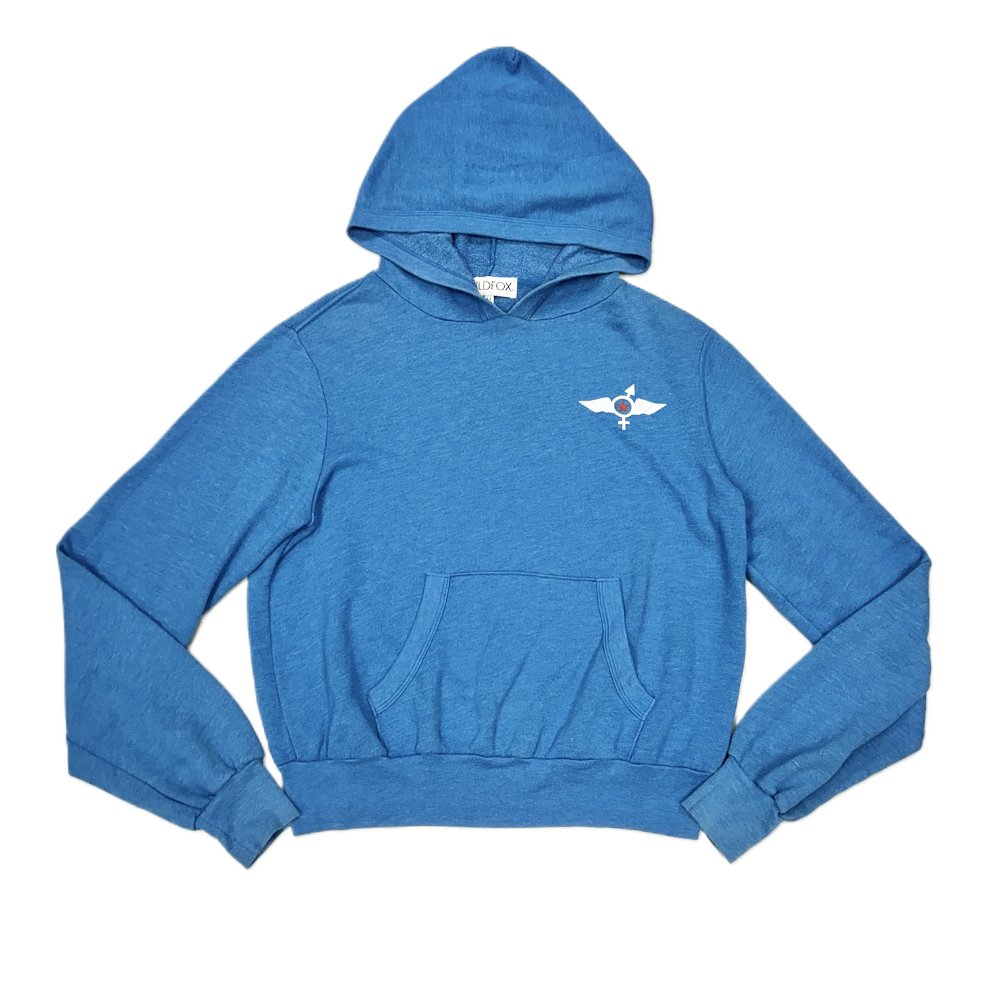 Sweatshirt Hoodie By Wildfox In Blue, Size: M