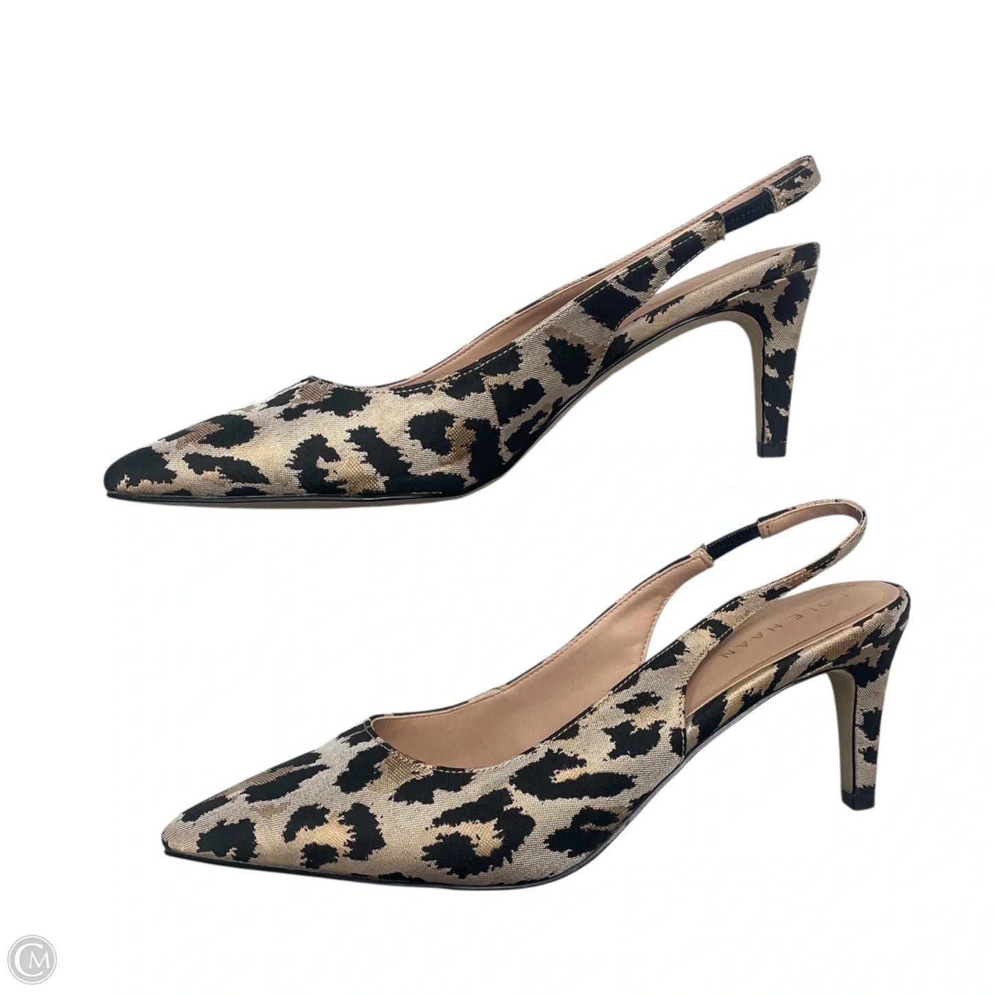 Shoes Heels Kitten By Cole-haan In Leopard Print, Size: 8