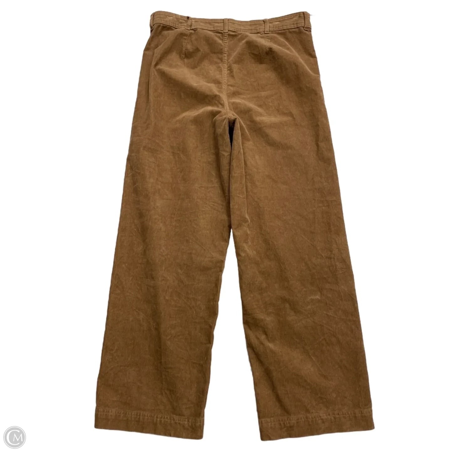 Pants Corduroy By Everlane In Tan, Size: 12
