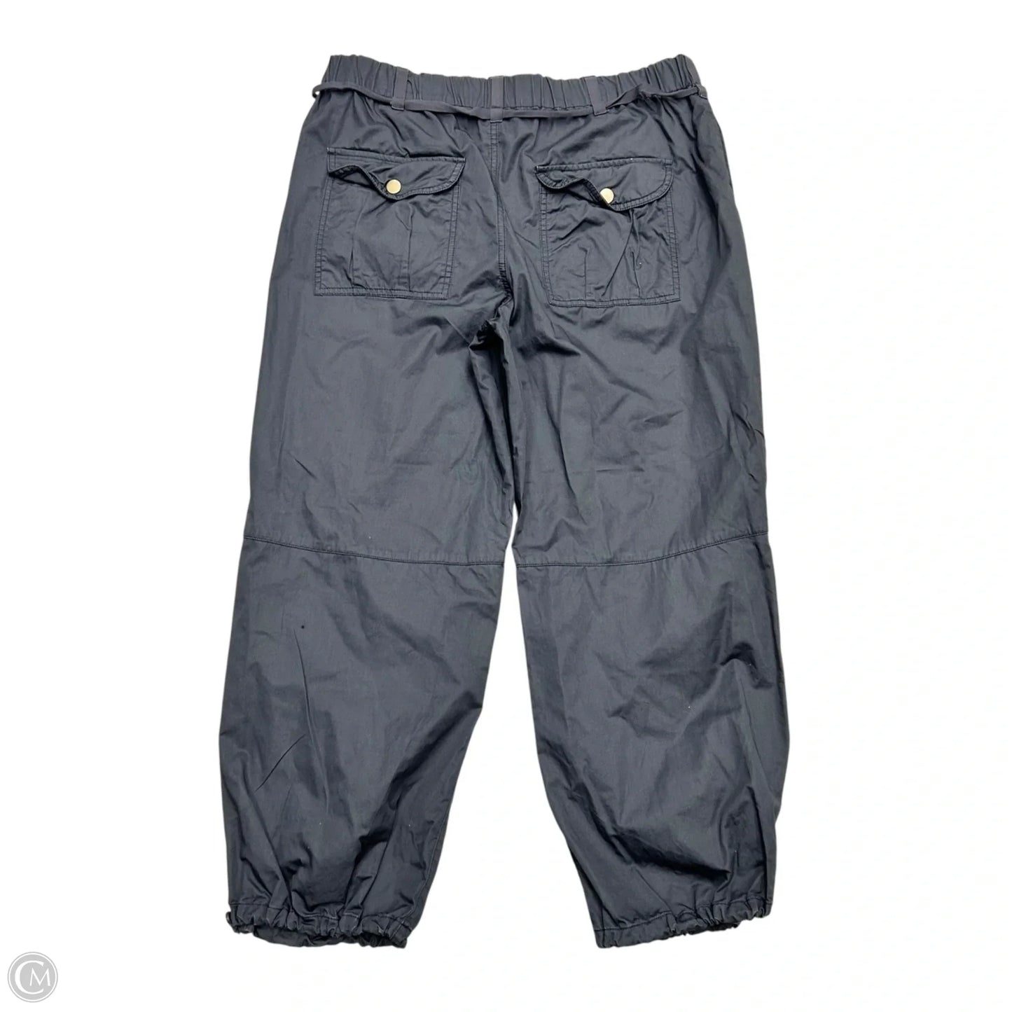 Pants Cargo & Utility By Pilcro In Grey, Size: M