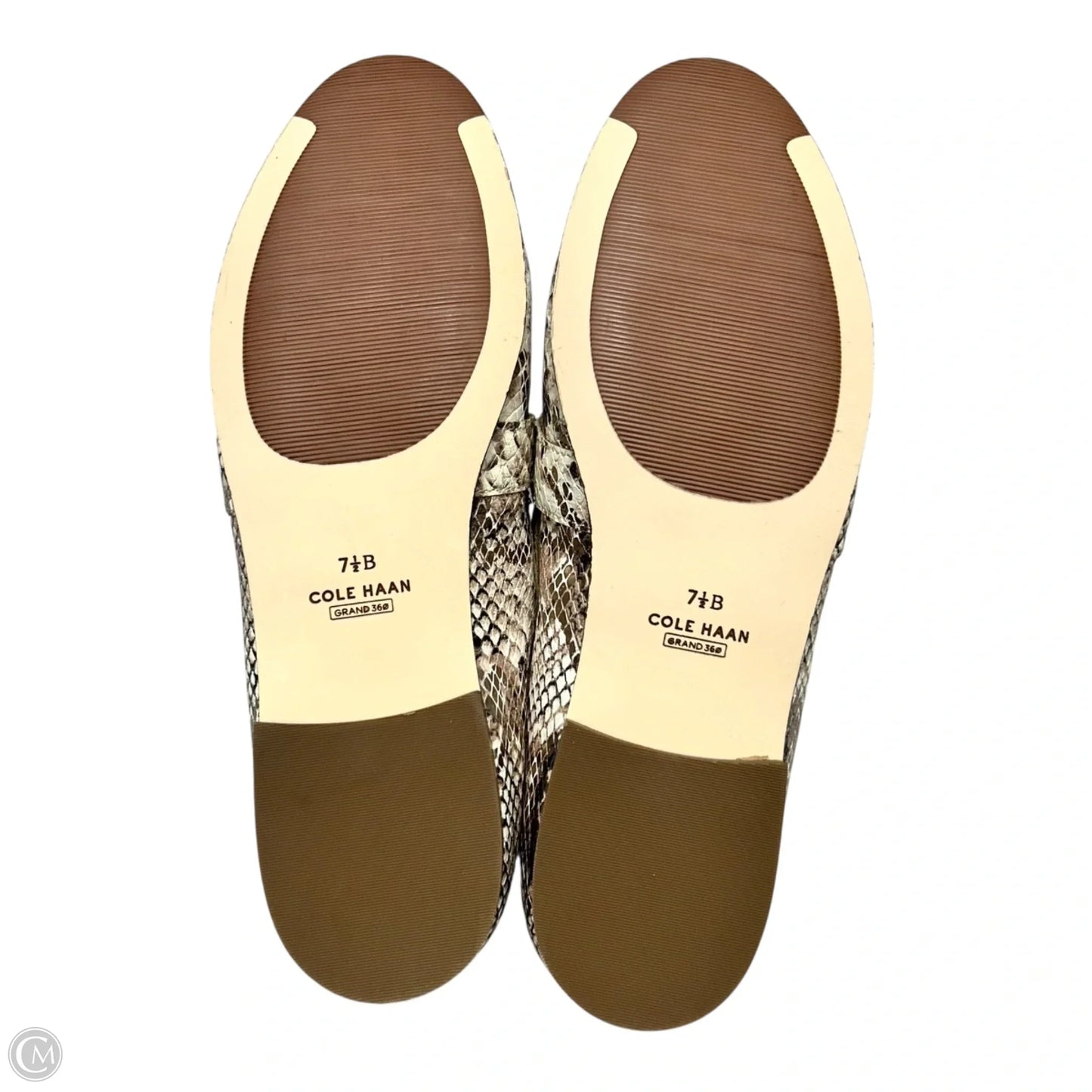 Shoes Flats By Cole-haan In Snakeskin Print, Size: 7.5
