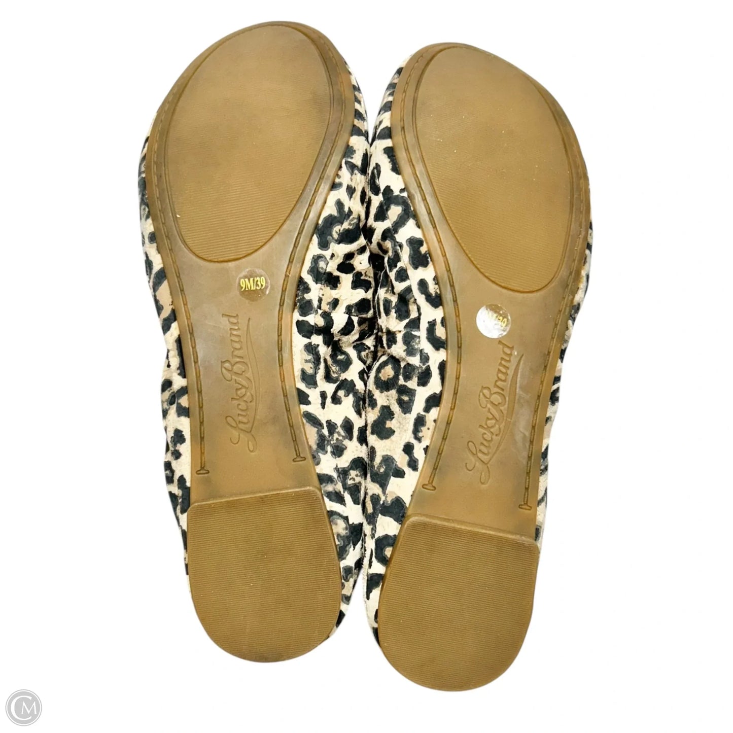 Shoes Flats By Lucky Brand In Leopard Print, Size: 9
