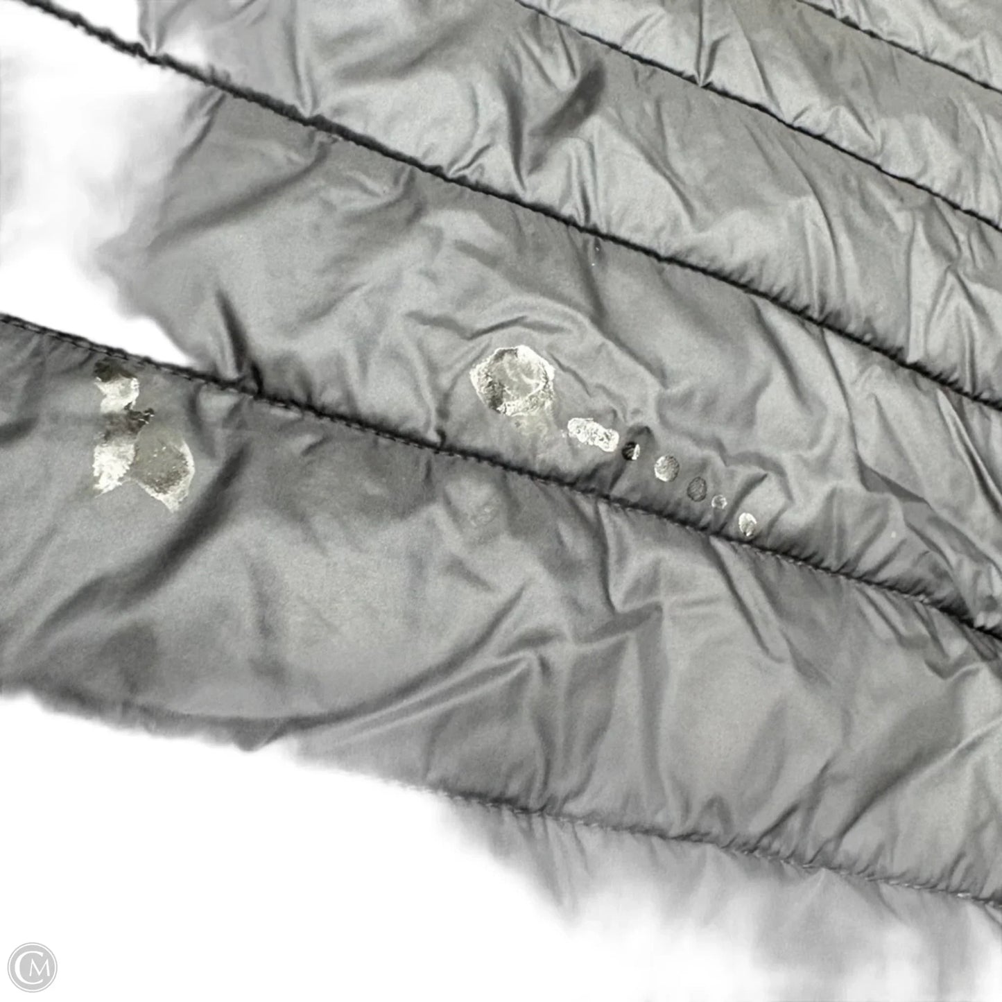 Jacket Puffer & Quilted By Patagonia In Black, Size: L