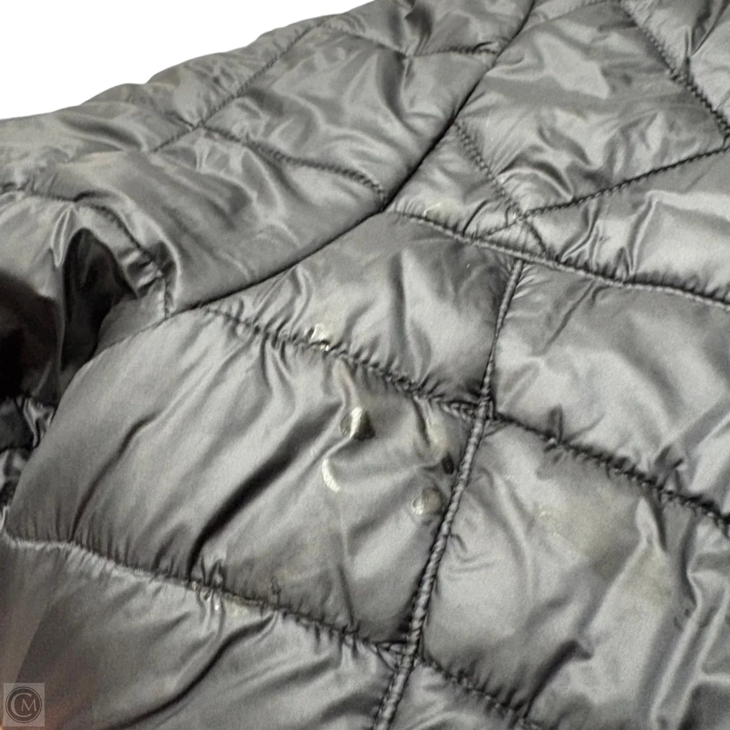 Jacket Puffer & Quilted By Patagonia In Black, Size: L