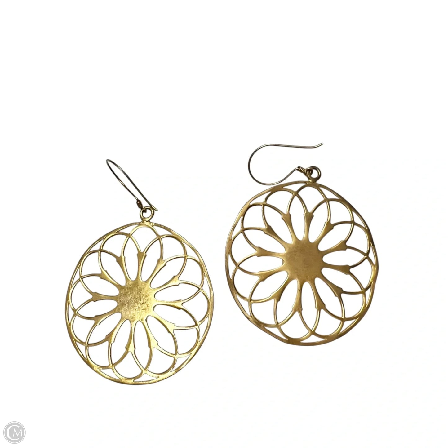 Earrings Other