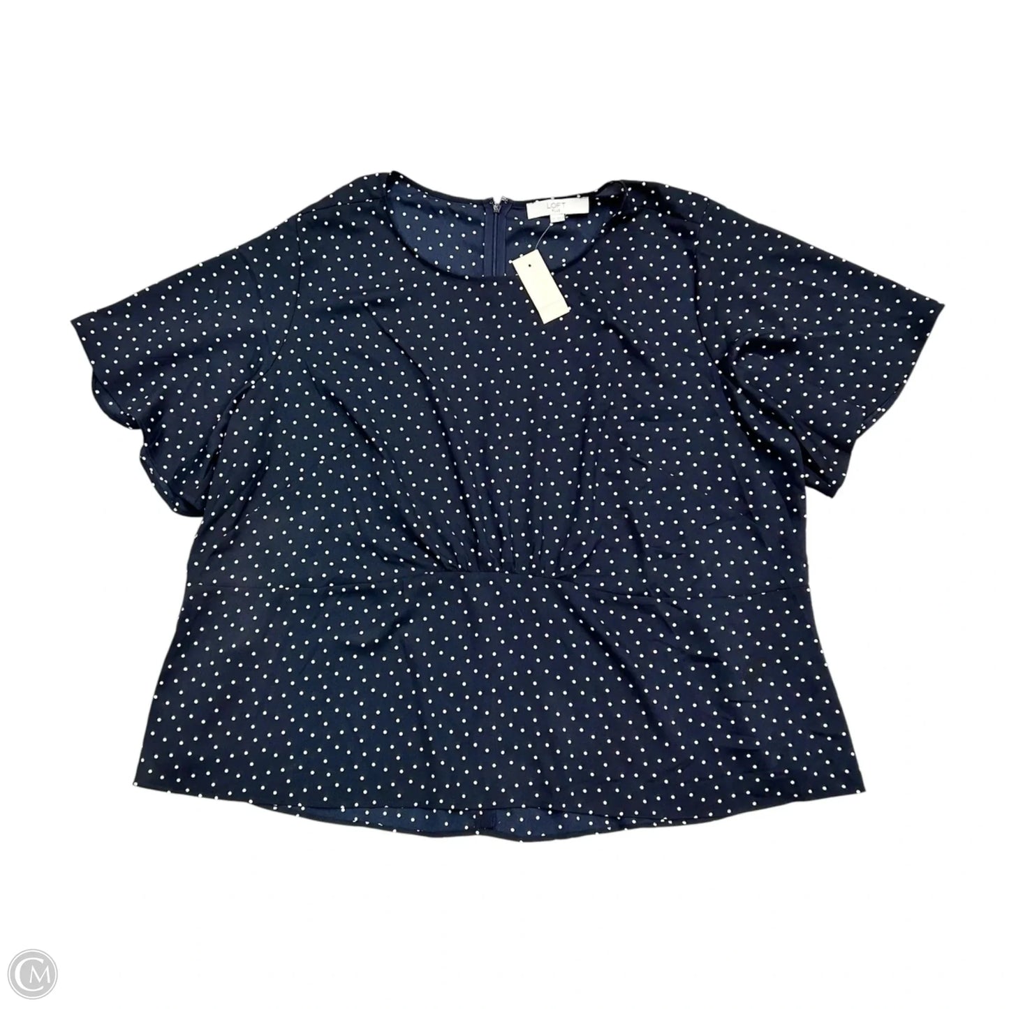 Top Short Sleeve By Loft In Blue & White, Size: 3x