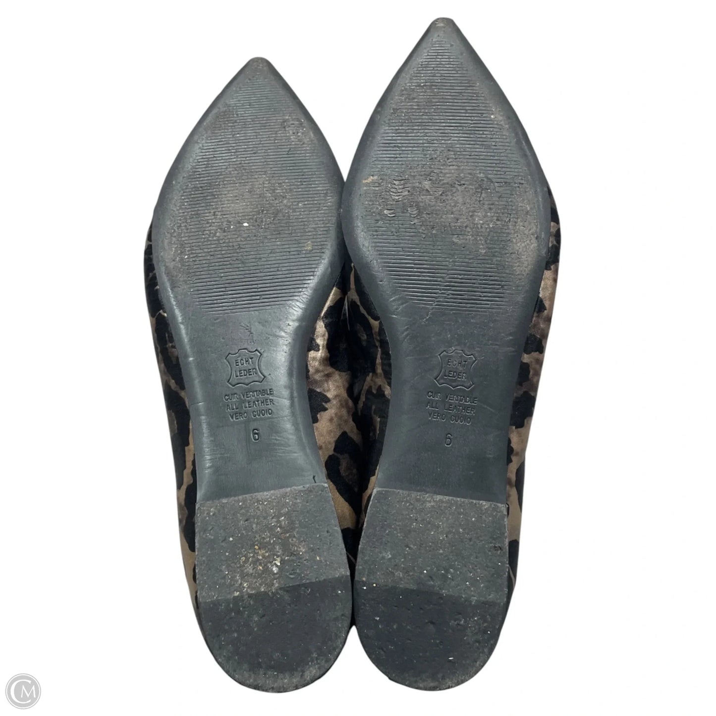Shoes Flats By Kennel & Schmenger In Leopard Print, Size: 6
