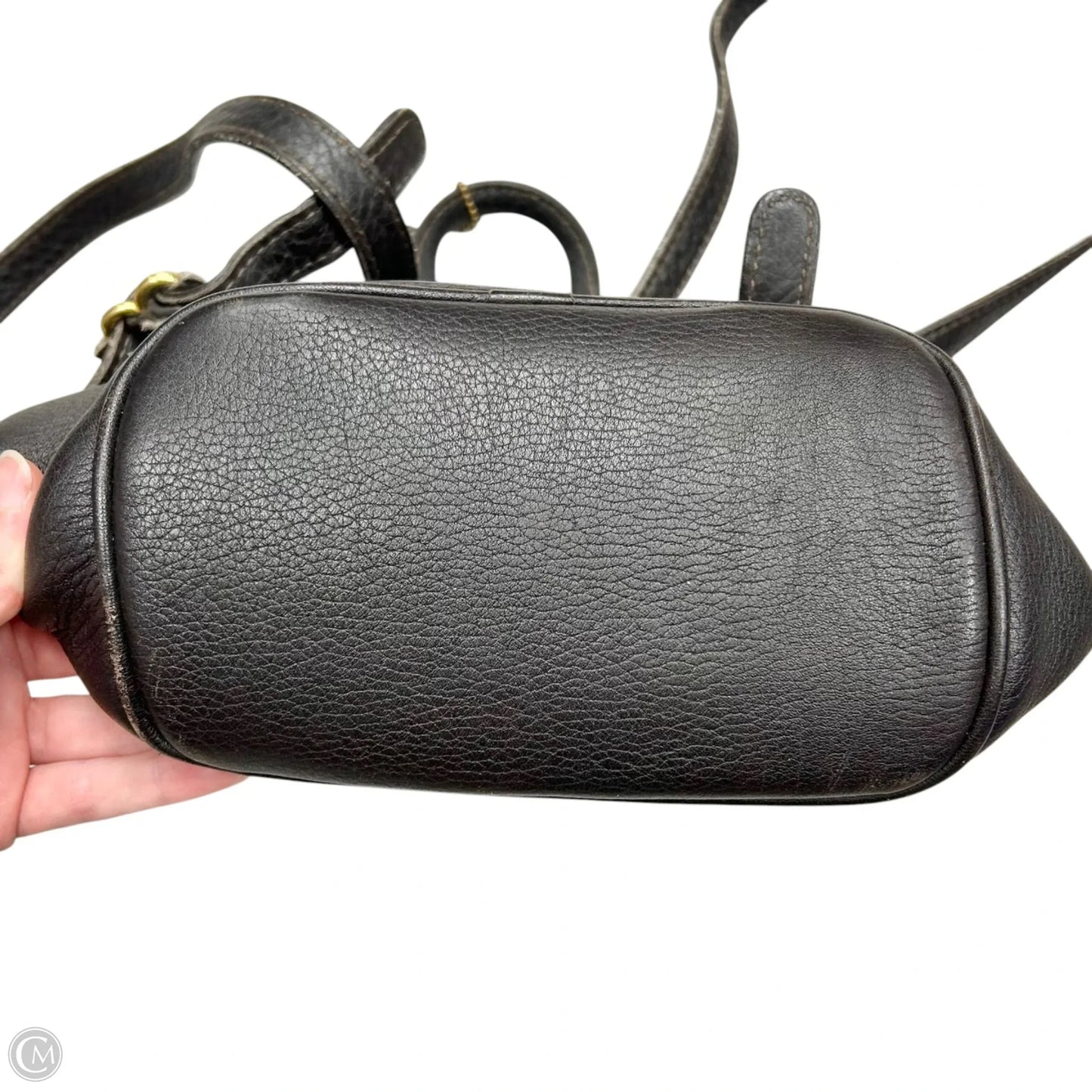 Backpack Designer By Coach, Size: Small
