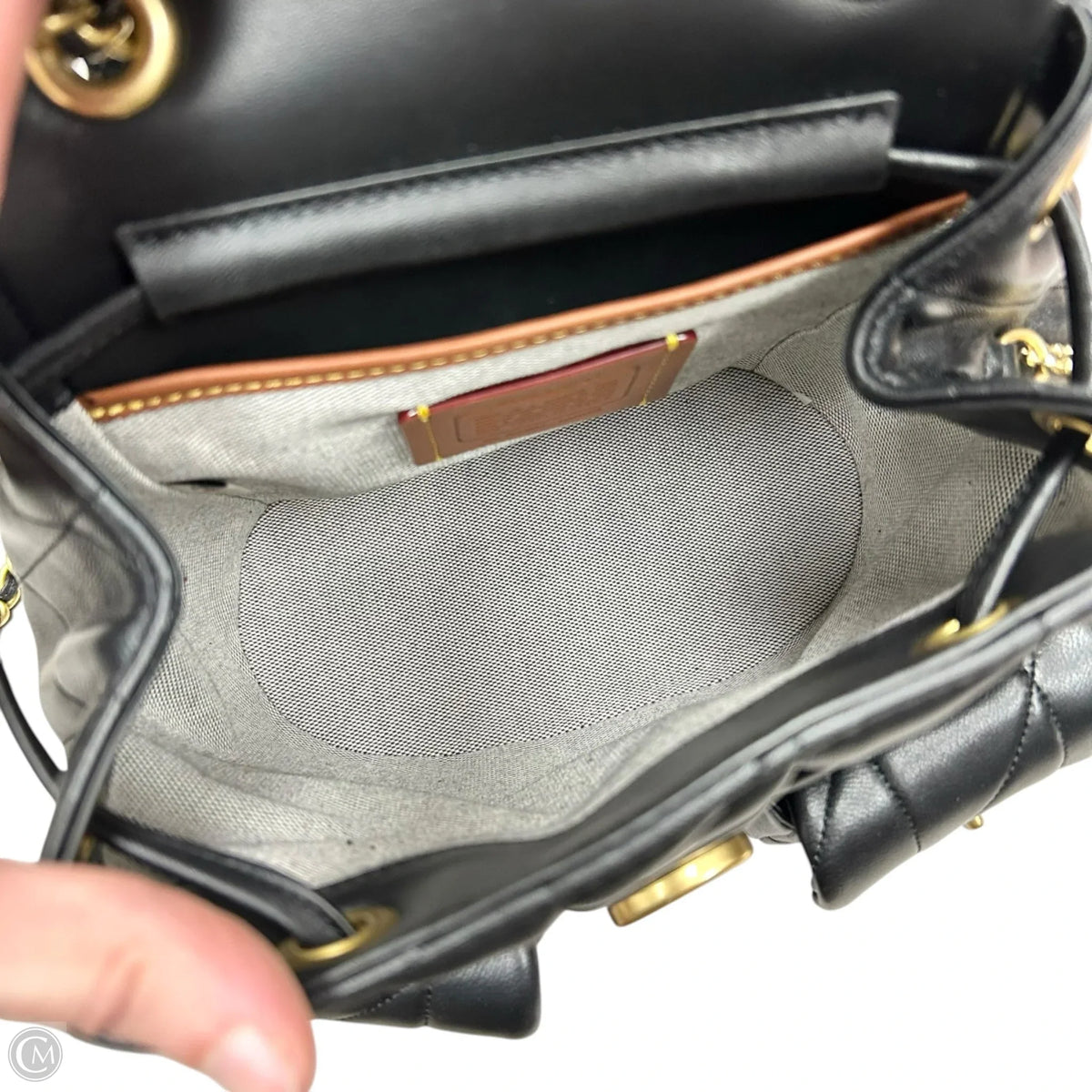 Backpack Designer By Coach, Size: Small
