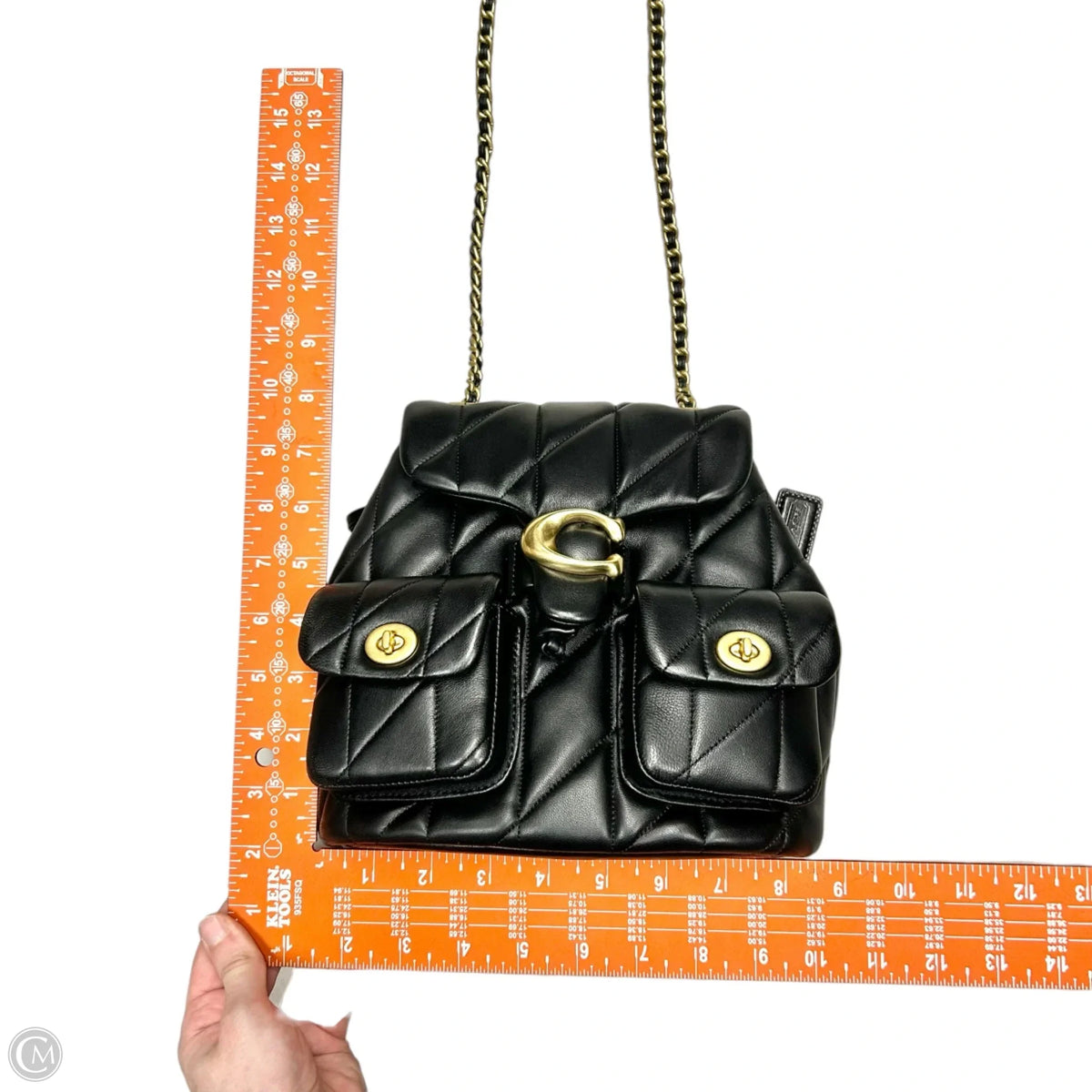 Backpack Designer By Coach, Size: Small