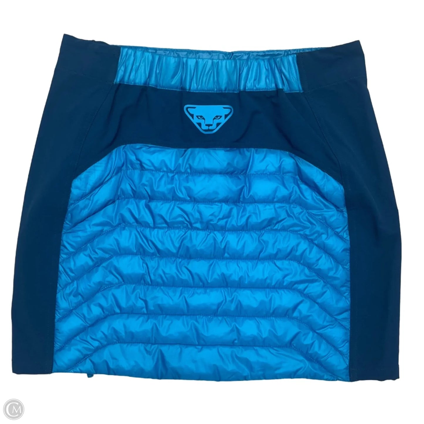 Athletic Skirt By Cmc In Teal, Size: M