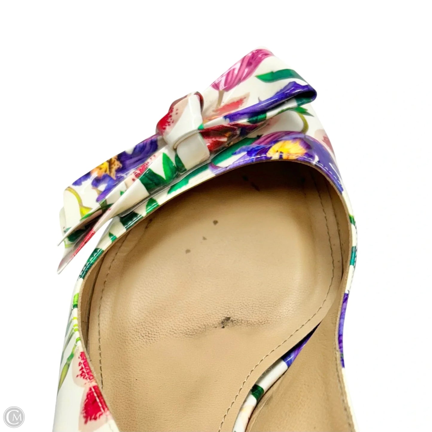 Shoes Luxury Designer By Ferragamo In Floral Print, Size: 10