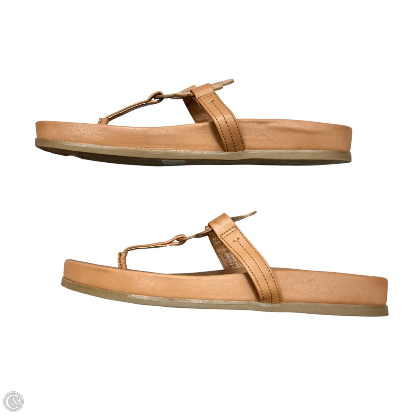 Sandals Flats By Sam And Libby In Brown, Size: 10