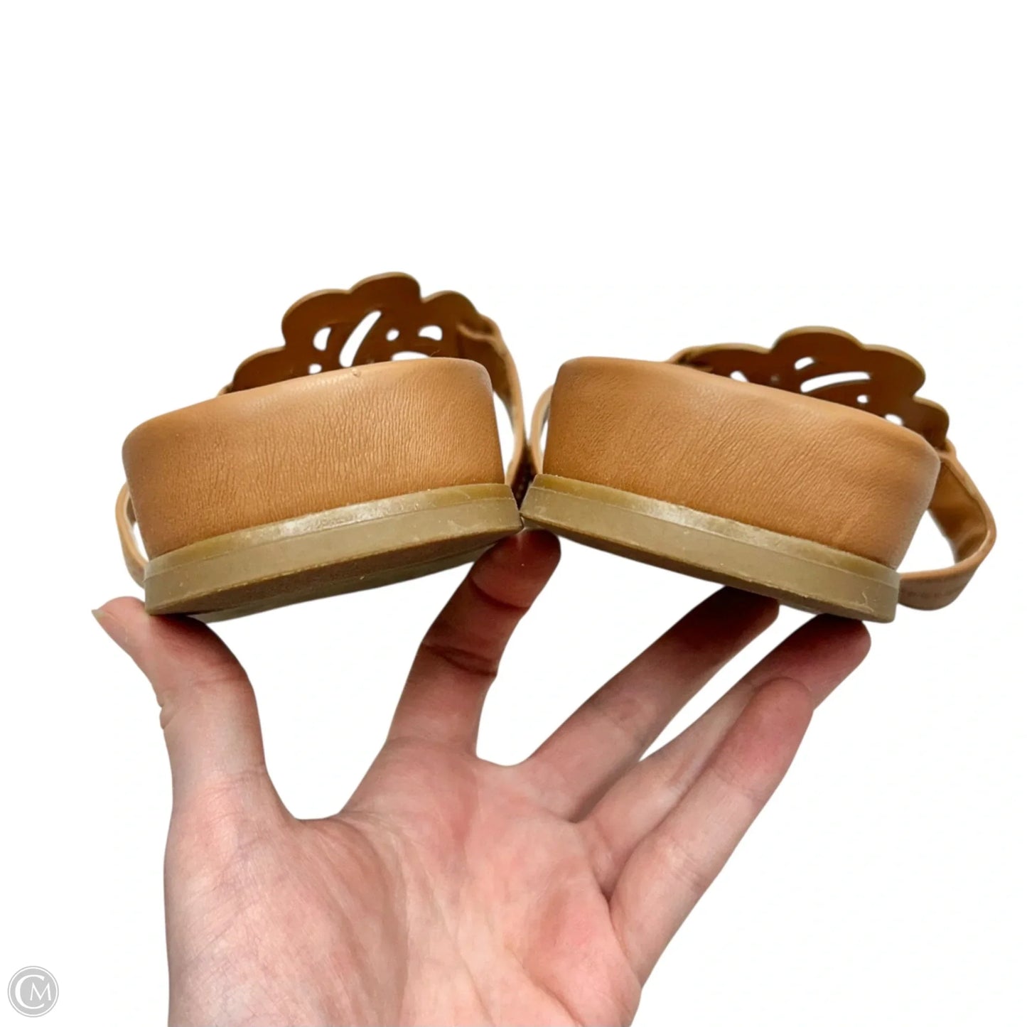 Sandals Flats By Sam And Libby In Brown, Size: 10