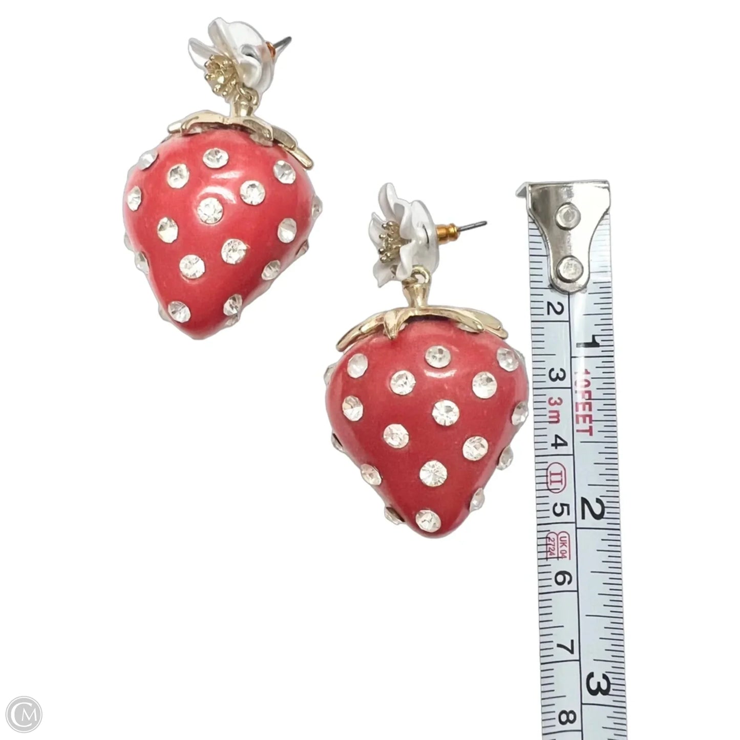 Earrings Dangle/drop