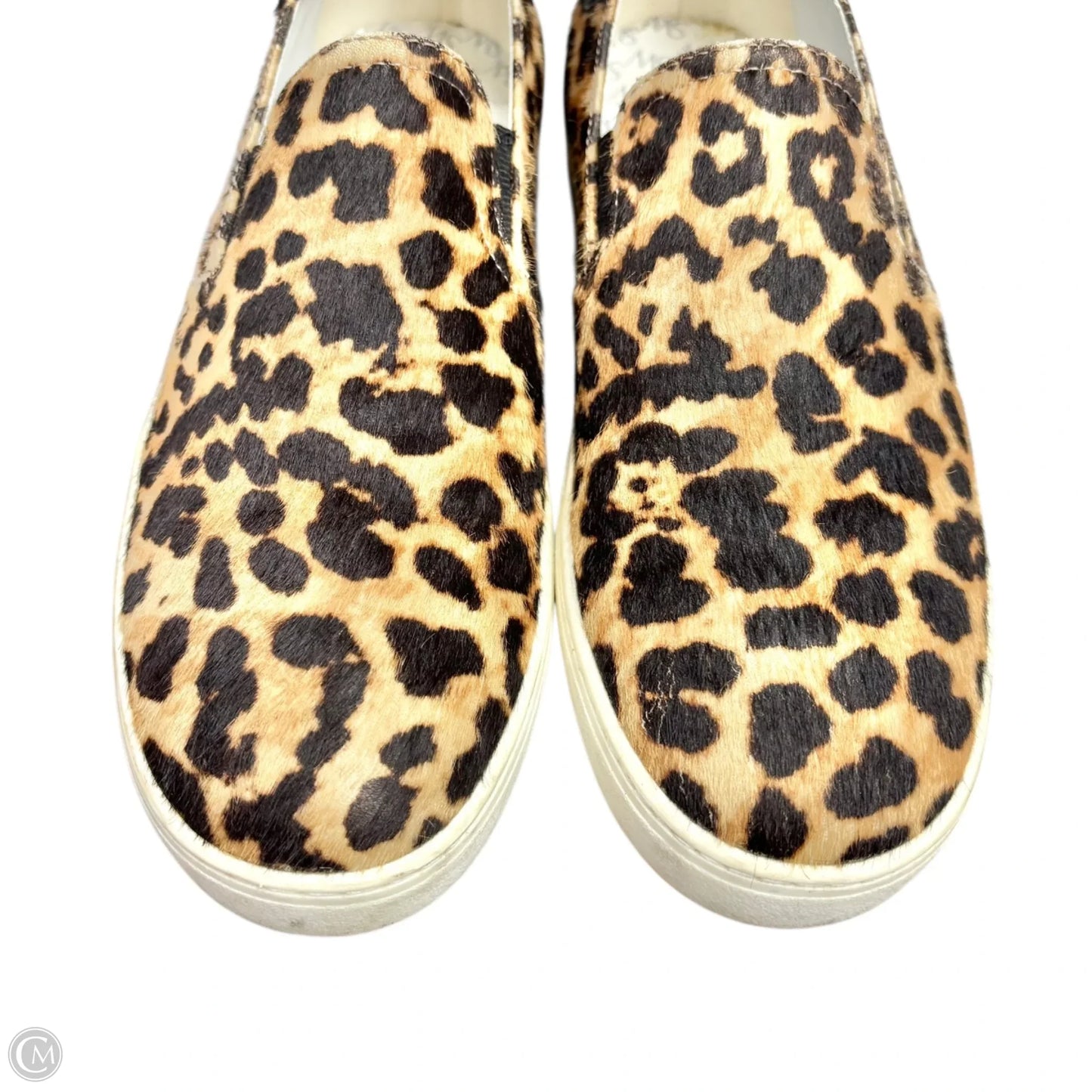 Shoes Designer By Stuart Weitzman In Leopard Print, Size: 7