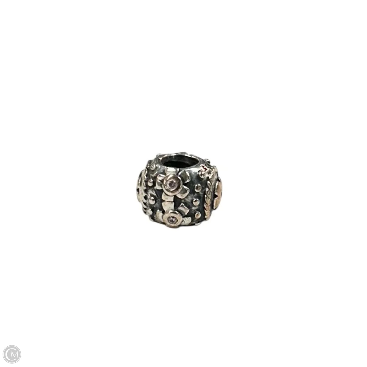 Jewelry Charm By Pandora